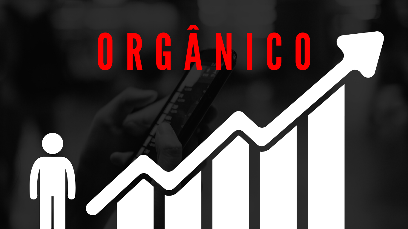 Empresa especializada em Busca Orgânica